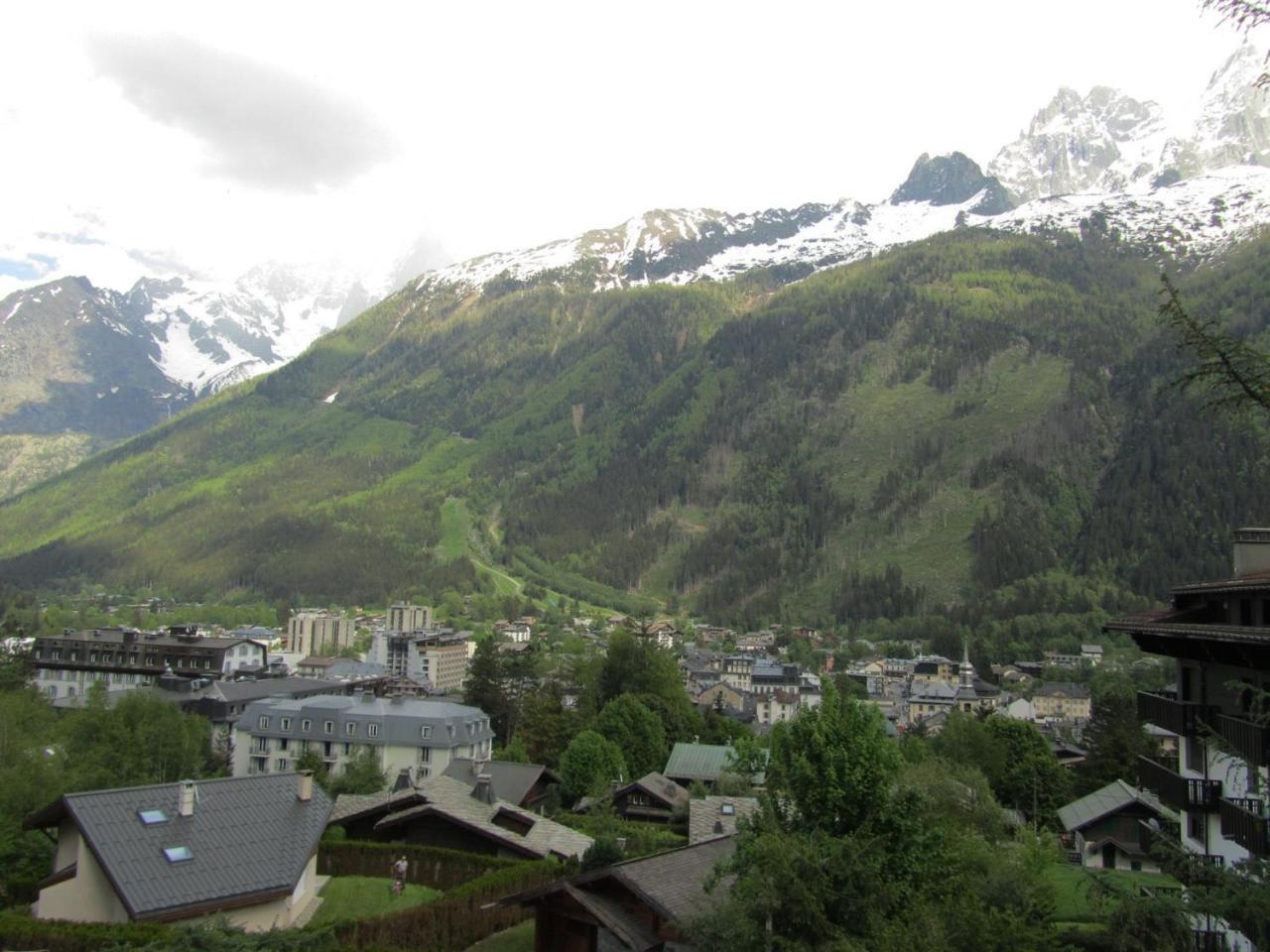 Apartment Le Pied Du Brevent - Walk To Ski Lift, Chamonix Getaway Εξωτερικό φωτογραφία